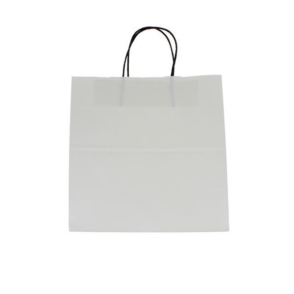 Paper bag kraft paper with black twisted handle - white